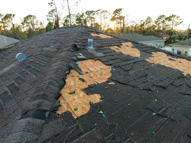 Best Roof Maintenance and Cleaning  in Weston Mills, NY